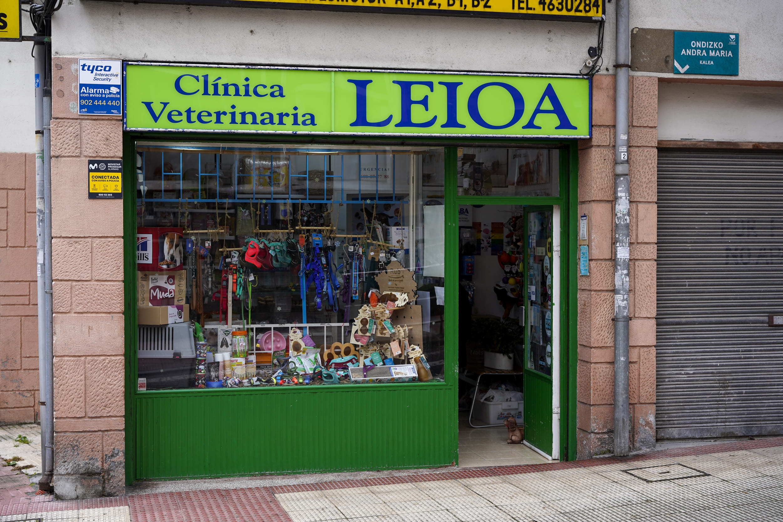 CLÍNICA VETERINARIA LEIOA